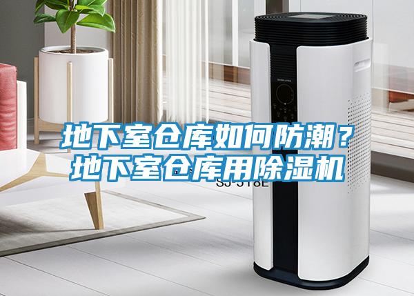 地下室仓库如何防潮？地下室仓库用除湿机