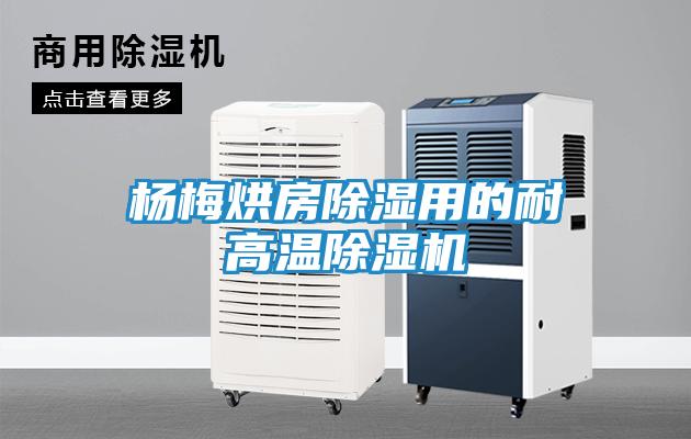 杨梅烘房除湿用的耐高温除湿机
