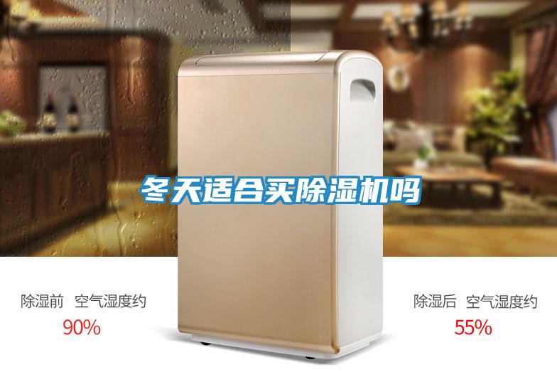 冬天适合买除湿机吗