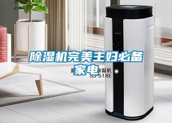 除湿机完美主妇必备家电