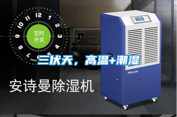 三伏天,高温+潮湿