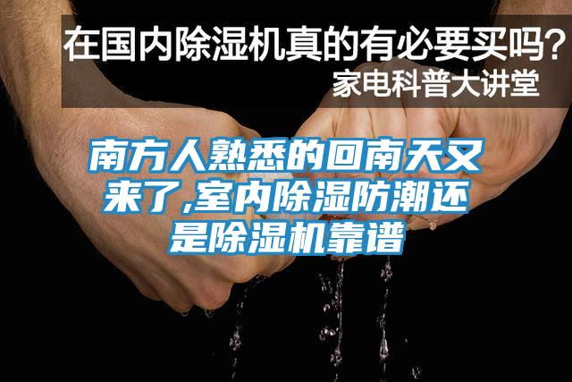 南方人熟悉的回南天又来了,室内除湿防潮还是除湿机靠谱