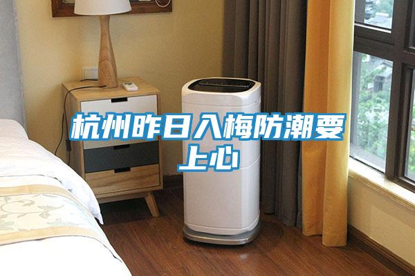 杭州昨日入梅防潮要上心