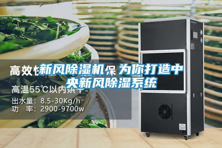 新风除湿机，为你打造中央新风除湿系统
