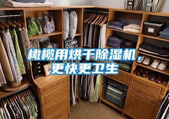 橄榄用烘干除湿机，更快更卫生