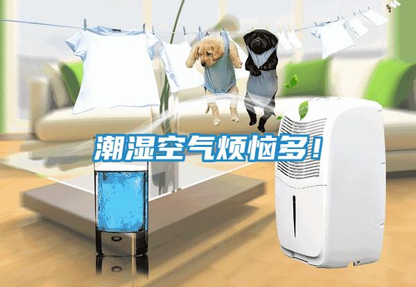 潮湿空气烦恼多！