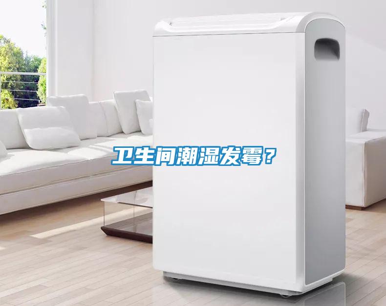 卫生间潮湿发霉？