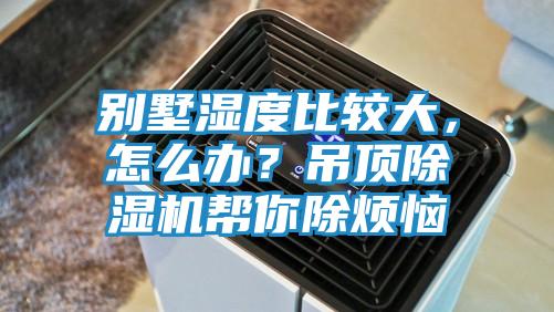 别墅湿度比较大,怎么办?吊顶除湿机帮你除烦恼
