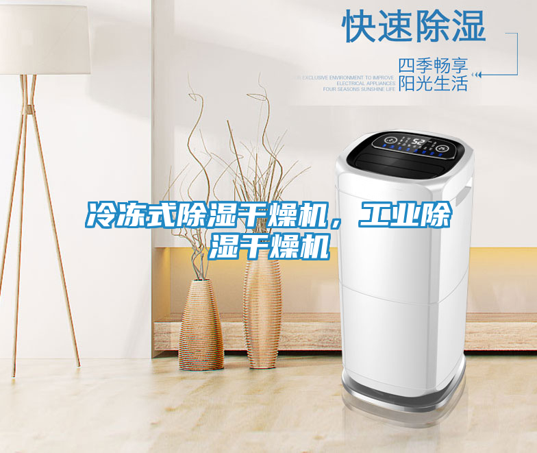冷冻式除湿干燥机，工业除湿干燥机