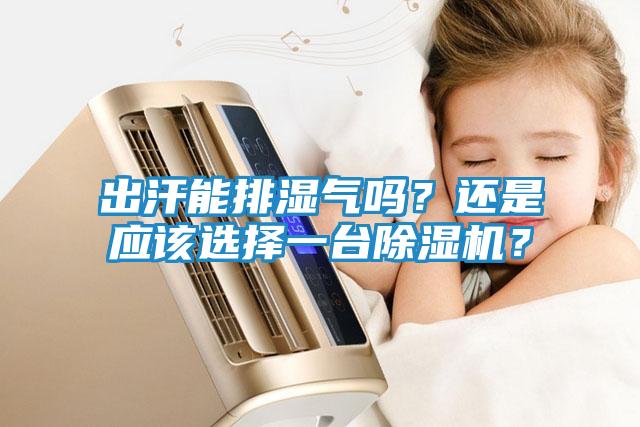 出汗能排湿气吗？还是应该选择一台除湿机？