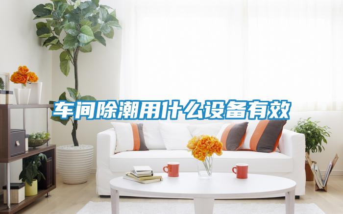 车间除潮用什么设备有效