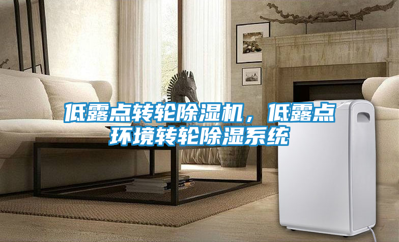 低露点转轮除湿机，低露点环境转轮除湿系统