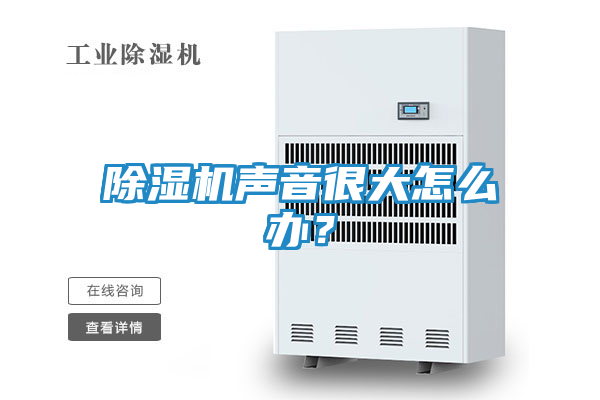 除湿机声音很大怎么办?