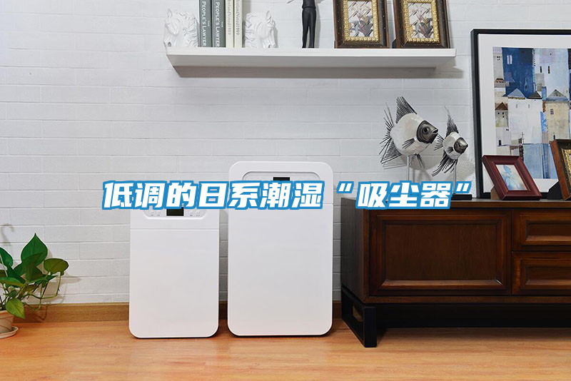 低调的日系潮湿“吸尘器”