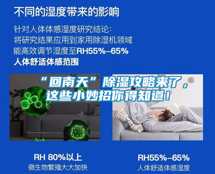 “回南天”除湿攻略来了,这些小妙招你得知道!