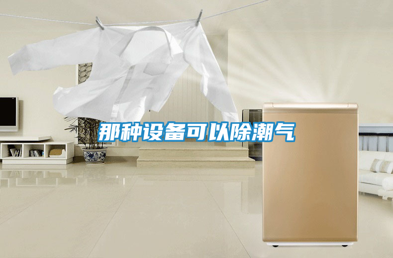 那种设备可以除潮气