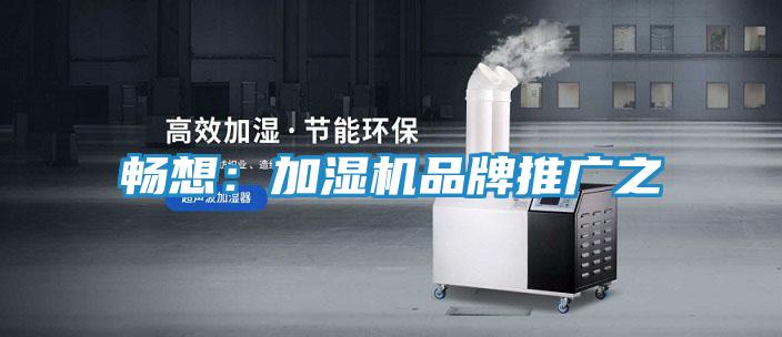 畅想：加湿机品牌推广之