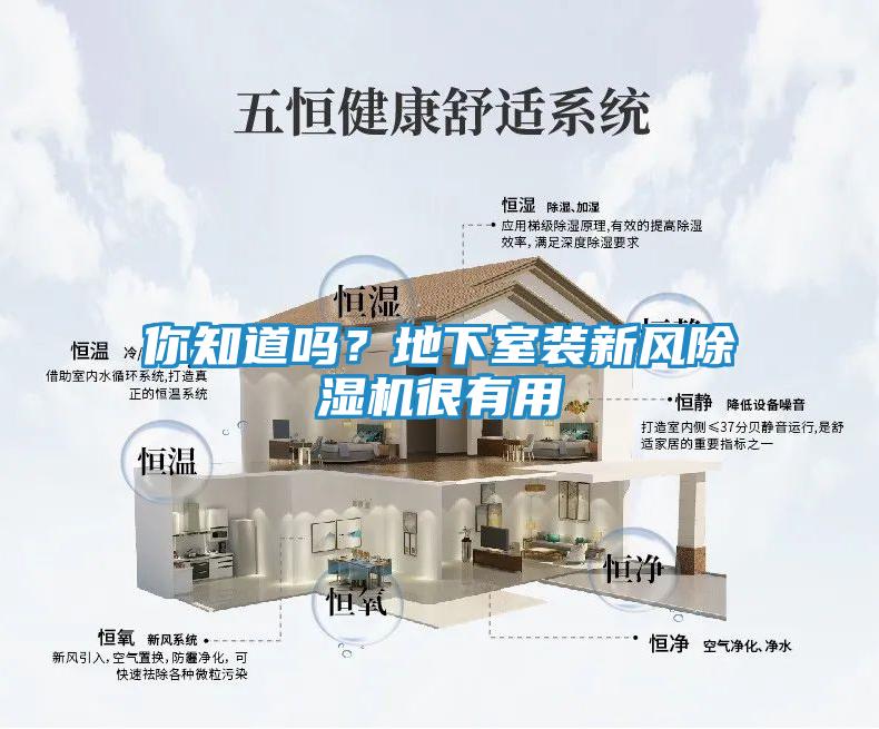 你知道吗？地下室装新风除湿机很有用