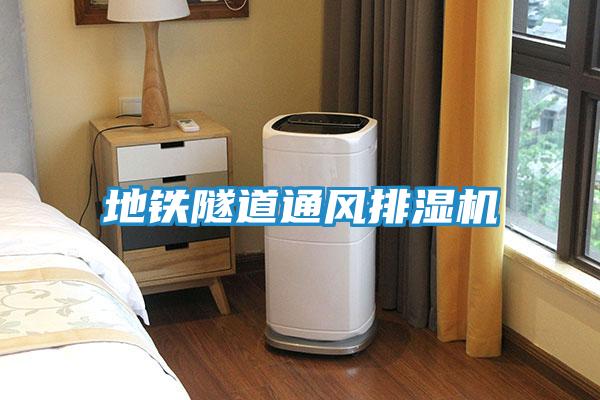 地铁隧道通风排湿机