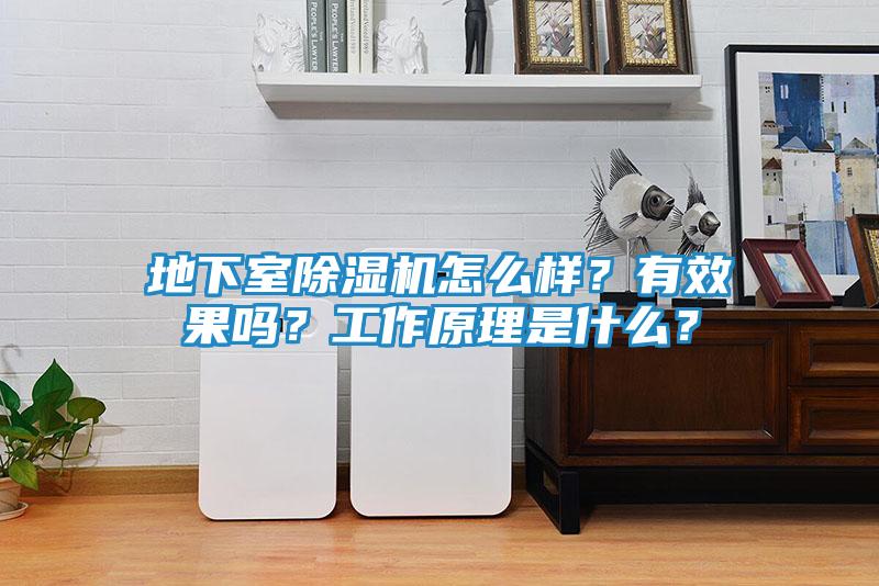地下室除湿机怎么样？有效果吗？工作原理是什么？