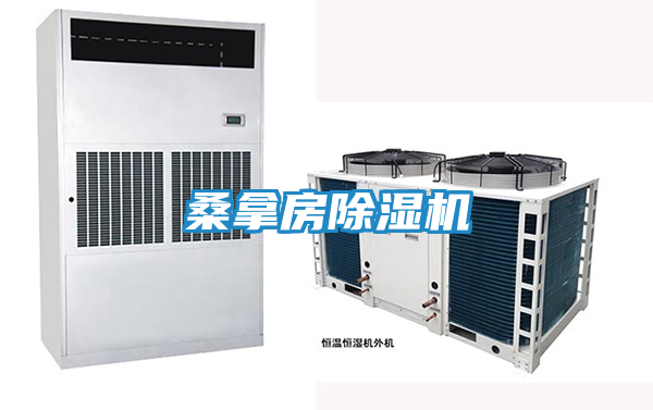桑拿房除湿机