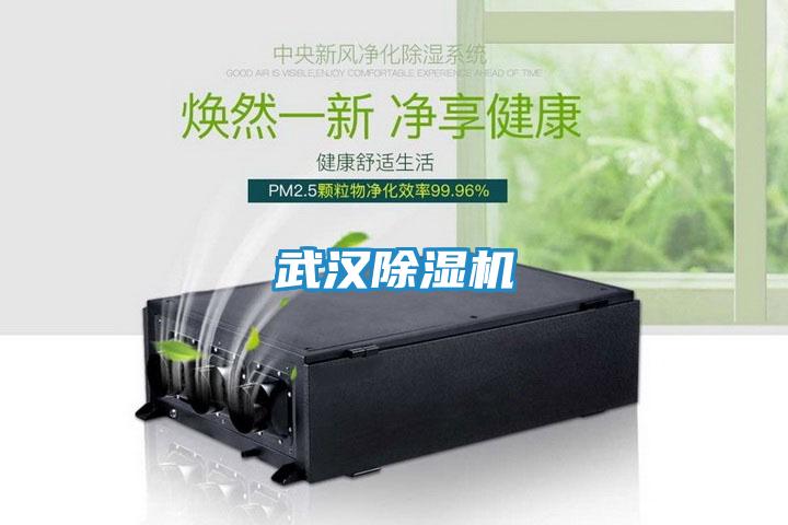 武汉除湿机