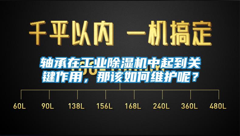 轴承在工业除湿机中起到关键作用，那该如何维护呢？