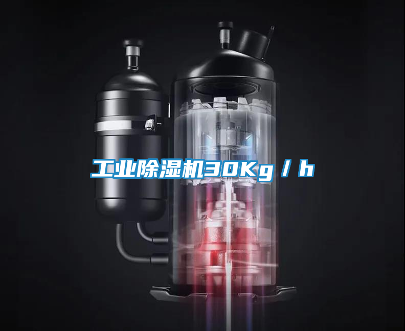 工业除湿机30Kg／h