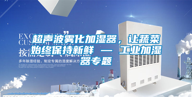超声波雾化加湿器，让蔬菜始终保持新鲜 — 工业加湿器专题