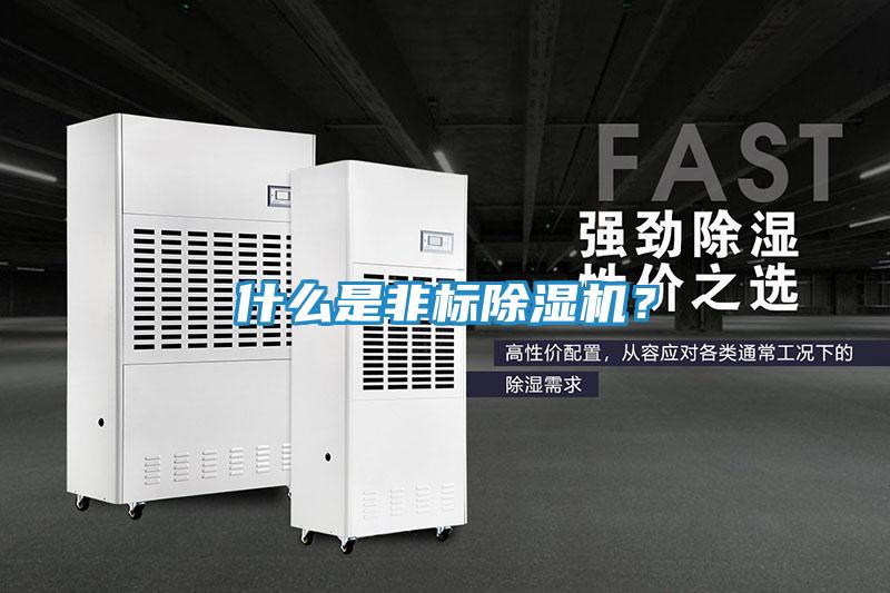 什么是非标除湿机？