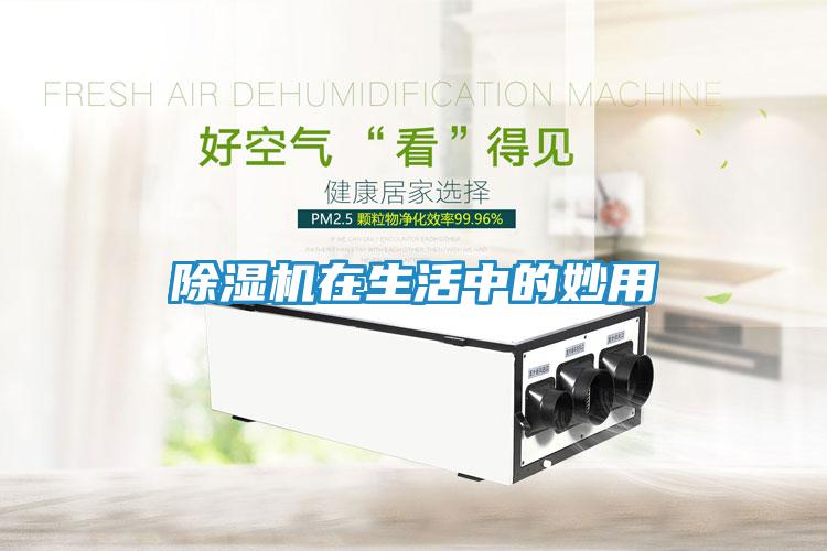 除湿机在生活中的妙用