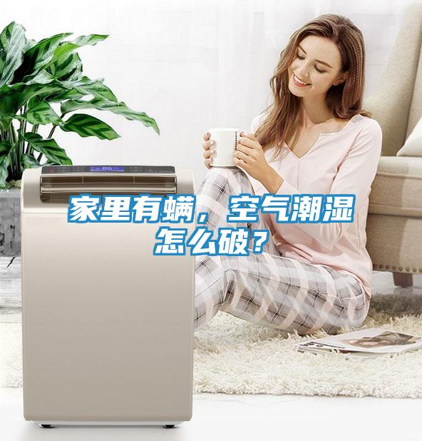 家里有螨,空气潮湿怎么破?