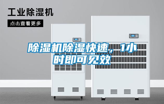 除湿机除湿快速,1小时即可见效
