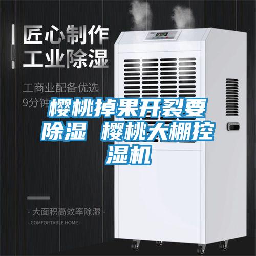 樱桃掉果开裂要除湿 樱桃大棚控湿机