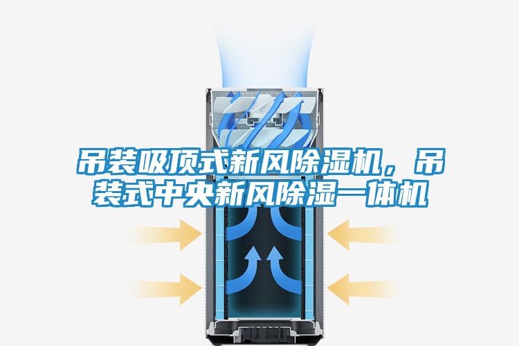 吊装吸顶式新风除湿机,吊装式中央新风除湿一体机