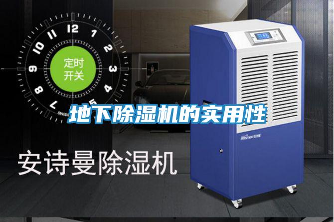 地下除湿机的实用性