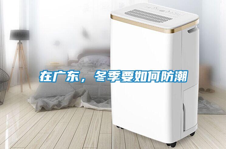 在广东，冬季要如何防潮