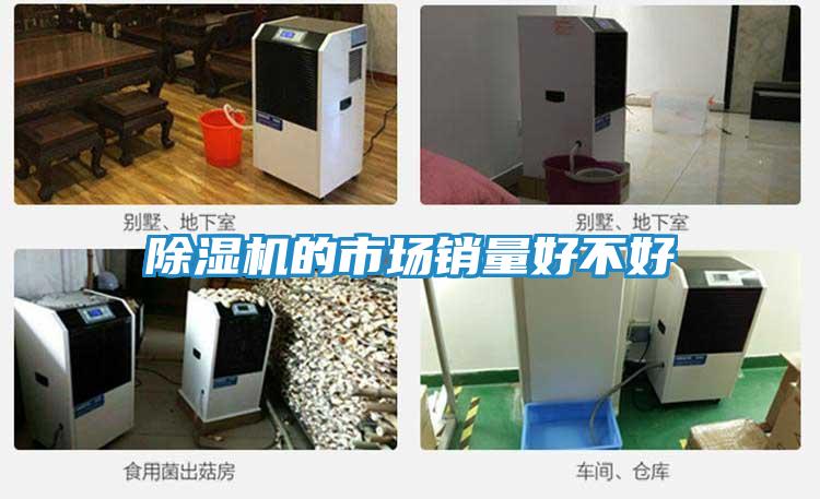 除湿机的市场销量好不好