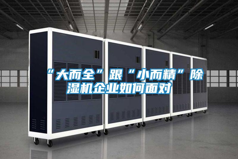 “大而全”跟“小而精”除湿机企业如何面对
