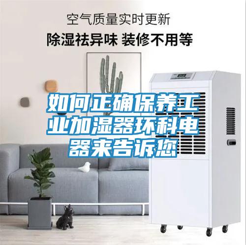 如何正确保养工业加湿器环科电器来告诉您