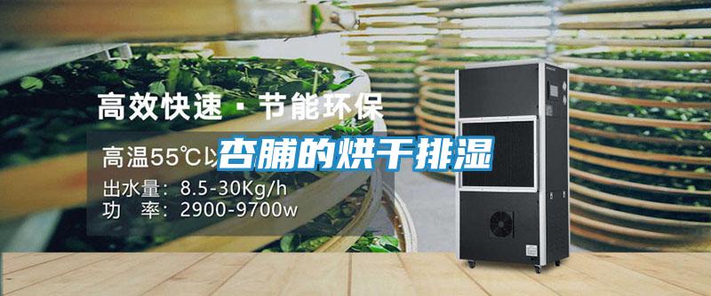 杏脯的烘干排湿