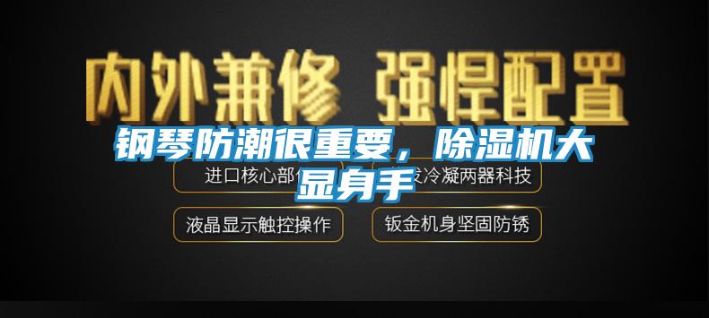 钢琴防潮很重要，除湿机大显身手