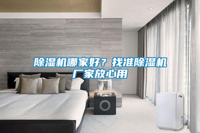 除湿机哪家好？找准除湿机厂家放心用