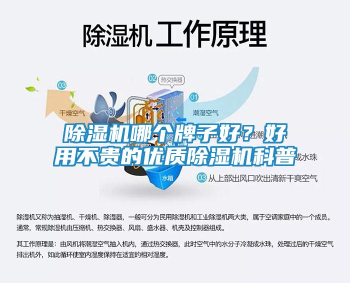 除湿机哪个牌子好？好用不贵的优质除湿机科普