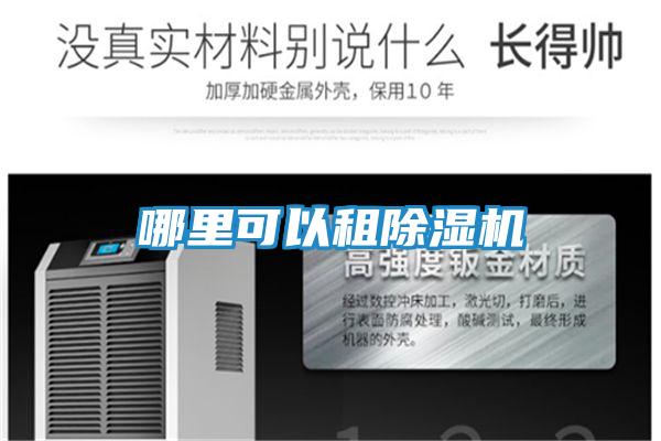 哪里可以租除湿机