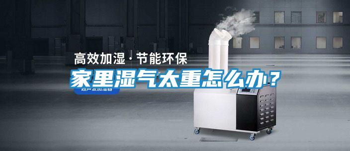 家里湿气太重怎么办?