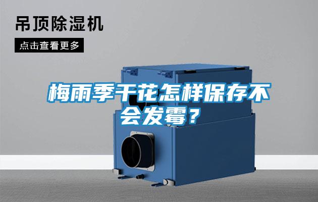 梅雨季干花怎样保存不会发霉？