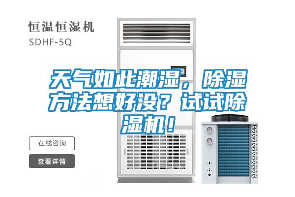 天气如此潮湿，除湿方法想好没？试试除湿机！