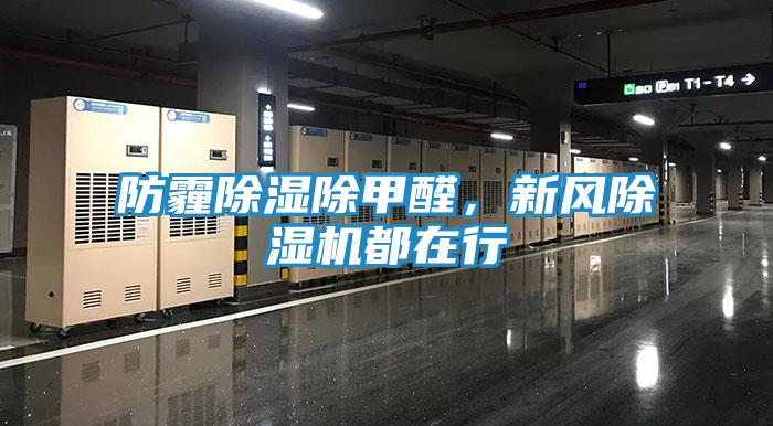 防霾除湿除甲醛,新风除湿机都在行