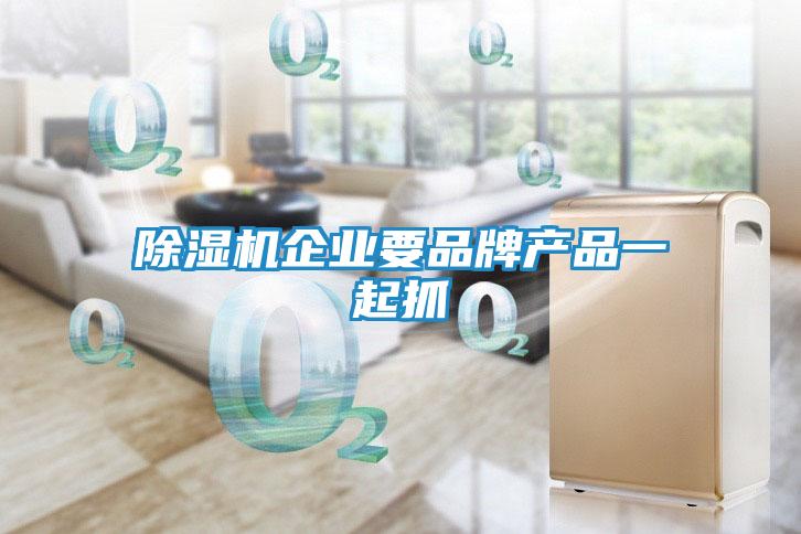 除湿机企业要品牌产品一起抓